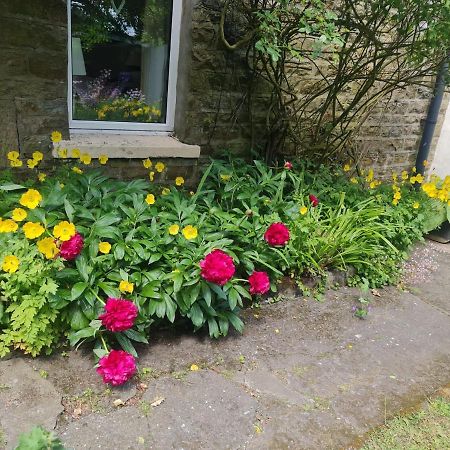 Mayfield Cottage Burtree Ford Dış mekan fotoğraf