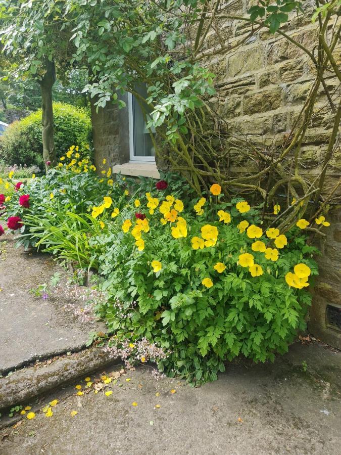 Mayfield Cottage Burtree Ford Dış mekan fotoğraf