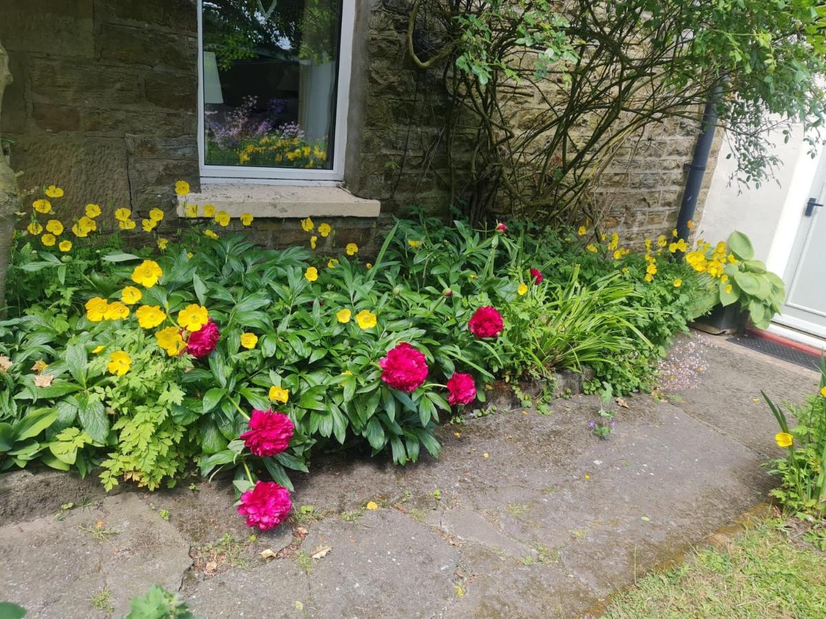 Mayfield Cottage Burtree Ford Dış mekan fotoğraf
