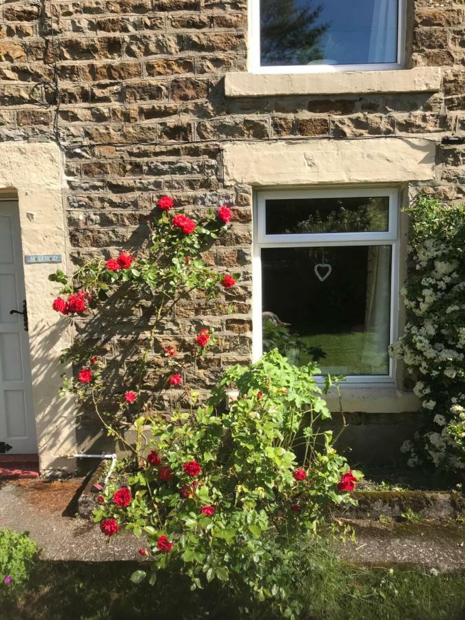 Mayfield Cottage Burtree Ford Dış mekan fotoğraf